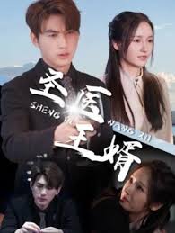 圣医王婿(全集)