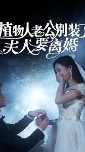 植物人老公别装了，夫人要离婚(全集)