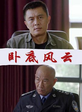 卧底风云(全集)