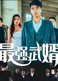 最强武婿(全集)