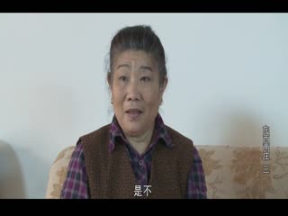 东西两庄(全集)