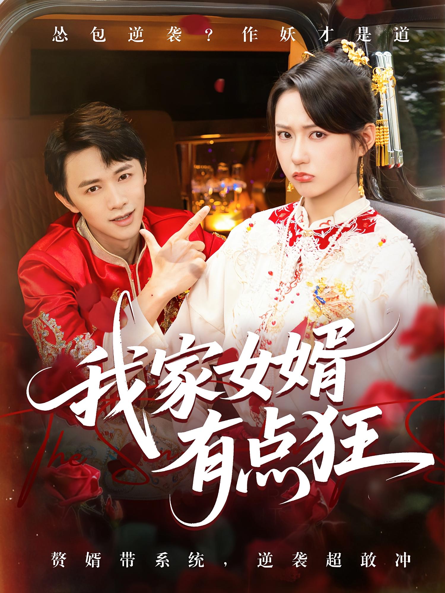 我家女婿有点狂(全集)