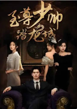 至尊少帅踏龙城(全集)