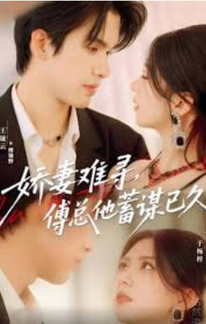 娇妻难寻，傅总他蓄谋已久(全集)