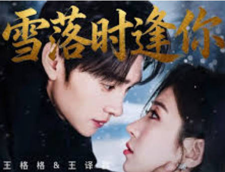 雪落时逢你(全集)