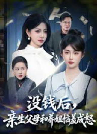 没钱后，亲生父母和养姐恼羞成怒(全集)