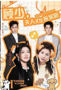 顾少，夫人又在拆家啦(全集)