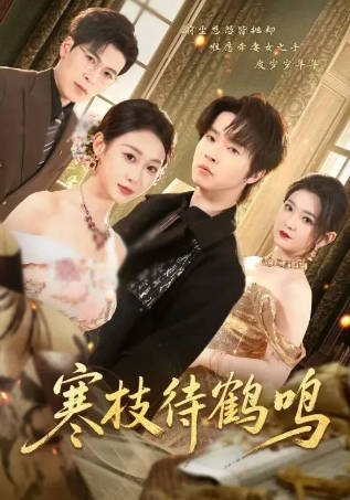 寒枝待鹤鸣(全集)