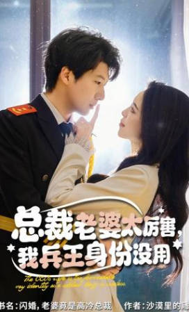 总裁老婆太厉害，我兵王身份没用(全集)