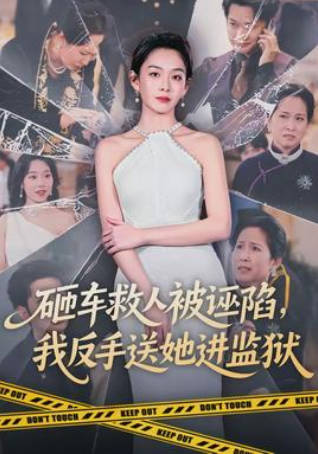 砸车救人被诬陷，我反手送她进监狱(全集)