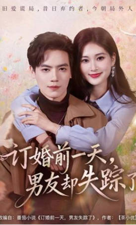 订婚前一天，男友却失踪了(全集)