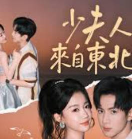 少夫人来自东北(全集)