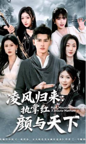 凌风归来：执掌红颜与天下(全集)