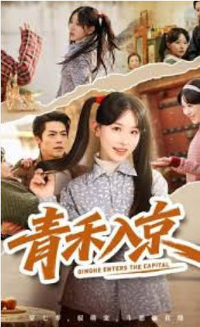 青禾入京(全集)