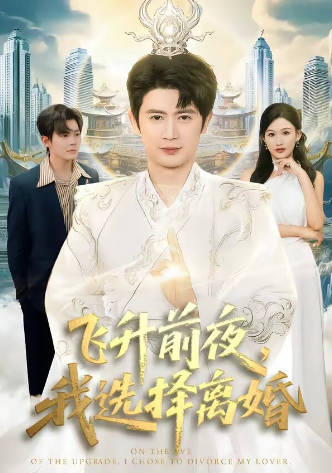 飞升前夜，我选择离婚(全集)