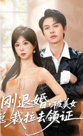 刚退婚，被美女总裁拉去领证(全集)