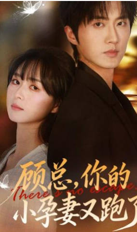顾总，你的小孕妻又跑了(全集)