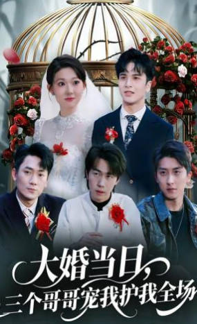 大婚当日，三个哥哥宠我护我全场(全集)