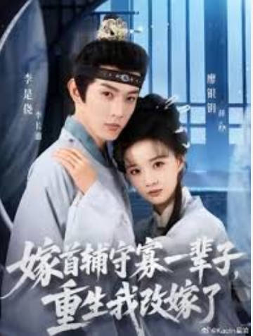 嫁首辅守寡一辈子，重生我改嫁了(全集)