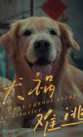 犬祸难逃(全集)