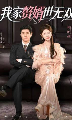 我家赘婿世无双(全集)