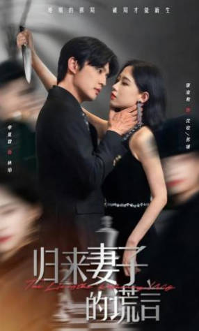 归来妻子的谎言(全集)