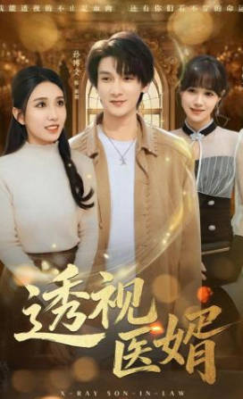 透视医婿(全集)