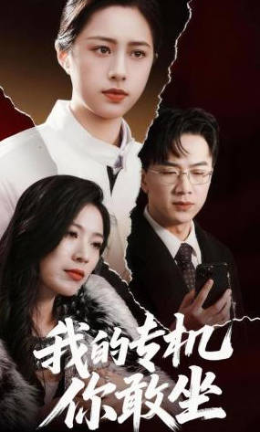 我的专机你敢坐(全集)
