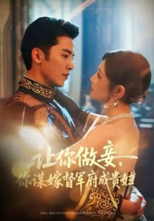 让你做妾，你谋嫁督军府成贵妇(全集)