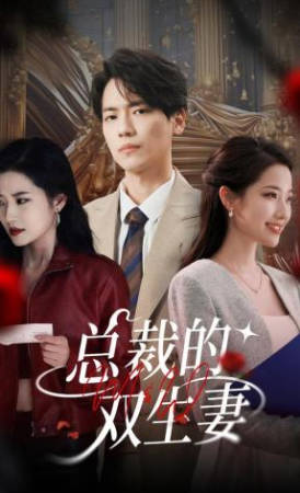 总裁的双生妻(全集)