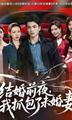 结婚前夜，我抓包了未婚妻(全集)