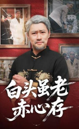 白头虽老赤心存(全集)