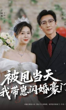 被甩当天我带崽闪婚豪门(全集)
