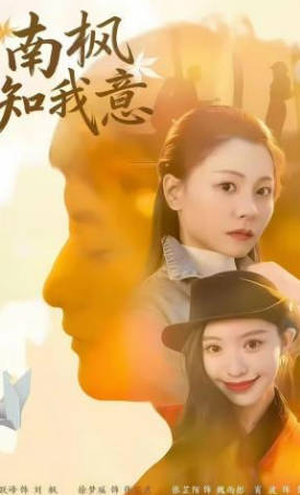 南枫知我意(全集)