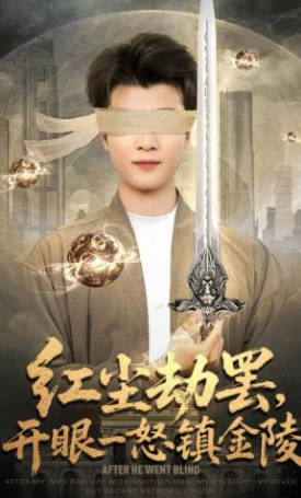红尘劫罢，开眼一怒镇金陵(全集)