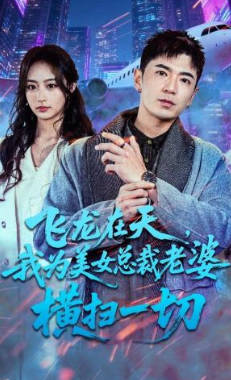 飞龙在天，我为美女总裁老婆横扫一切(全集)
