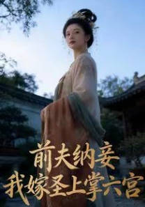 前夫纳妾，我嫁圣上掌六宫(全集)