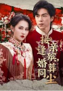 接亲逢殡，婚葬同尘(全集)