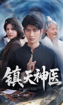 镇天神医(全集)