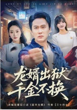 龙婿出狱，千金不换(全集)