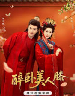 醉卧美人膝(全集)