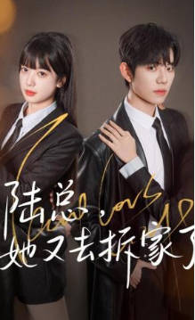 陆总，她又去拆家了(全集)
