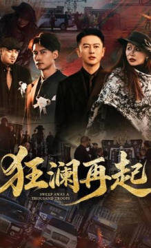 狂澜再起(全集)