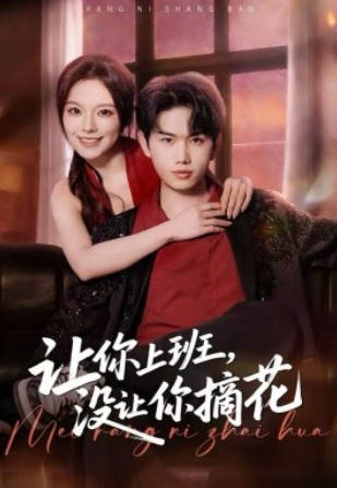 让你上班，没让你摘花(全集)