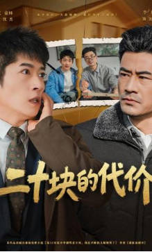 二十块的代价(全集)