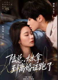 陆总，太太拿到离婚证跑了(全集)