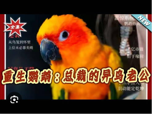 重生鹦鹉：总裁的异鸟老公(全集)