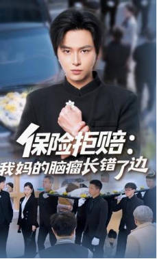 保险拒赔：我妈的脑瘤长错了边(全集)