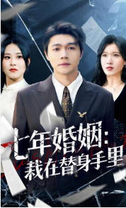七年婚姻：栽在替身手里(全集)