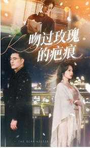 吻过玫瑰的疤痕(全集)